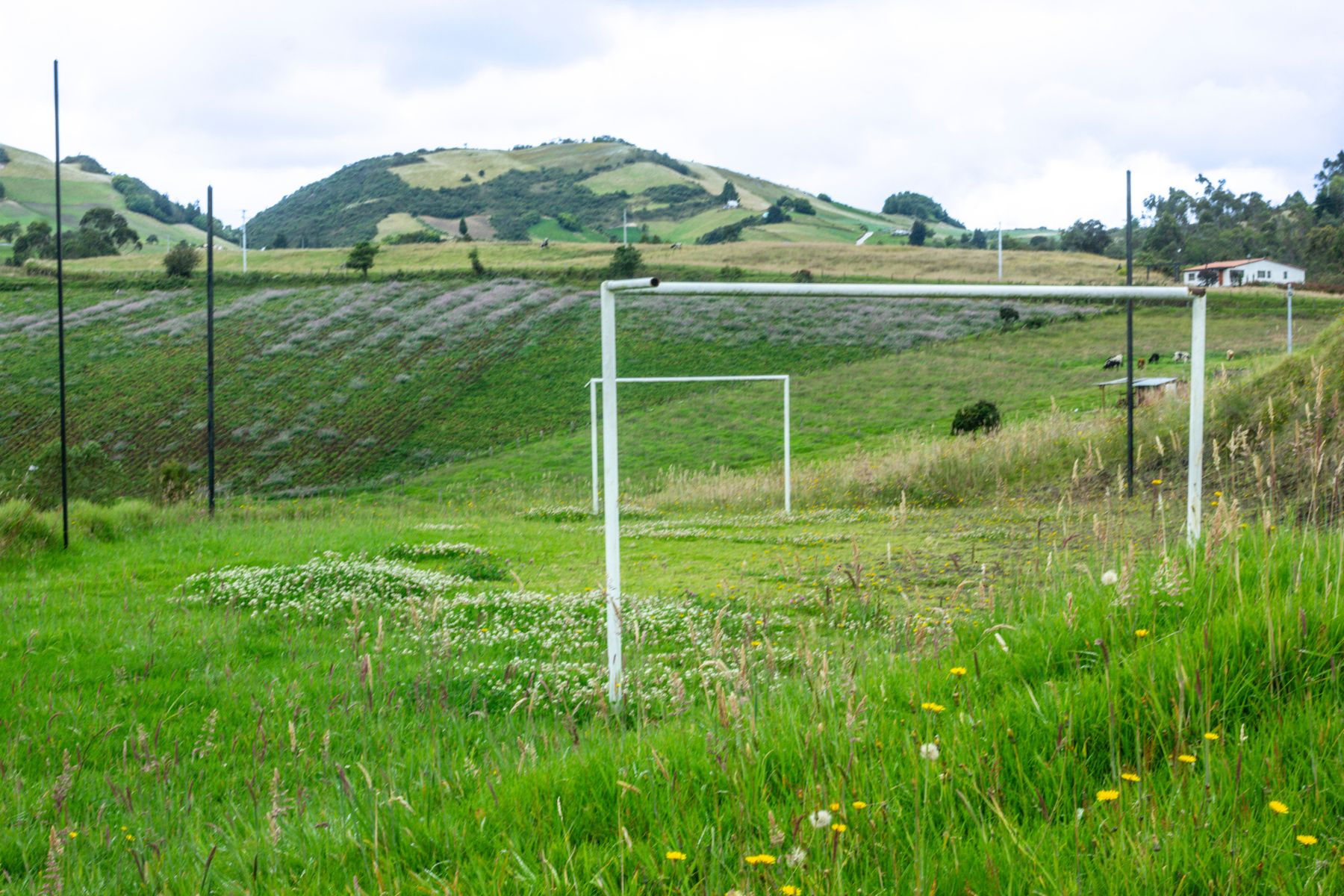 Montañas de Villa Pinzón